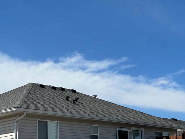 Best Roof Insulation Installation  in Roslyn, NY